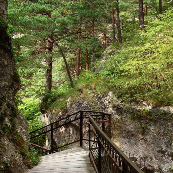 Тропа Чудес