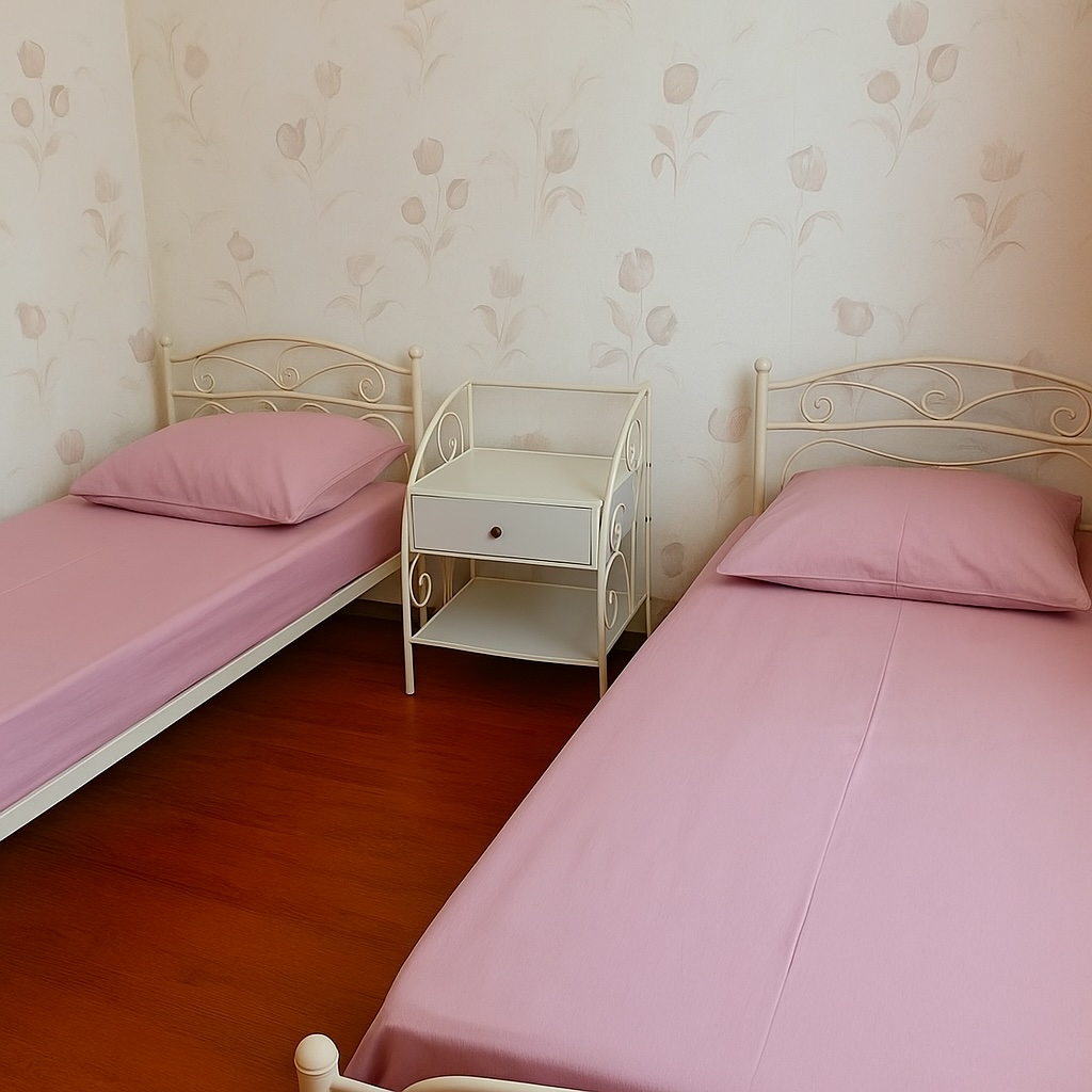 Двухместный номер Single